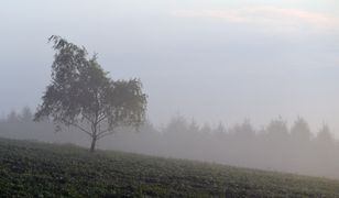 Pogoda na weekend. Chłodno, mgliście i wilgotno