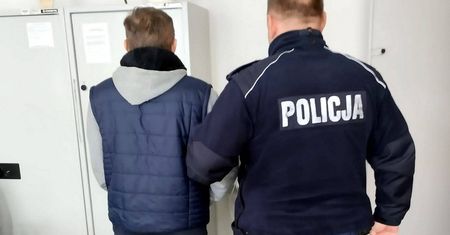 Zgotował kotu piekło. Wszystko przez gołębie