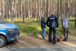 Zgubili się w lesie. Policja uratowała grzybiarzy