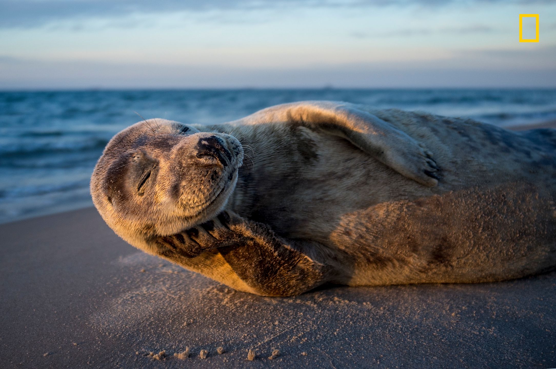 Ruszył konkurs fotograficzny Nature Photographer of The Year 2017. Pierwsze zgłoszone zdjęcia pokazują klasę 13