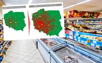 Rekordowe wyniki Dino. Sprzedaż sieci przekroczyła 10 mld zł