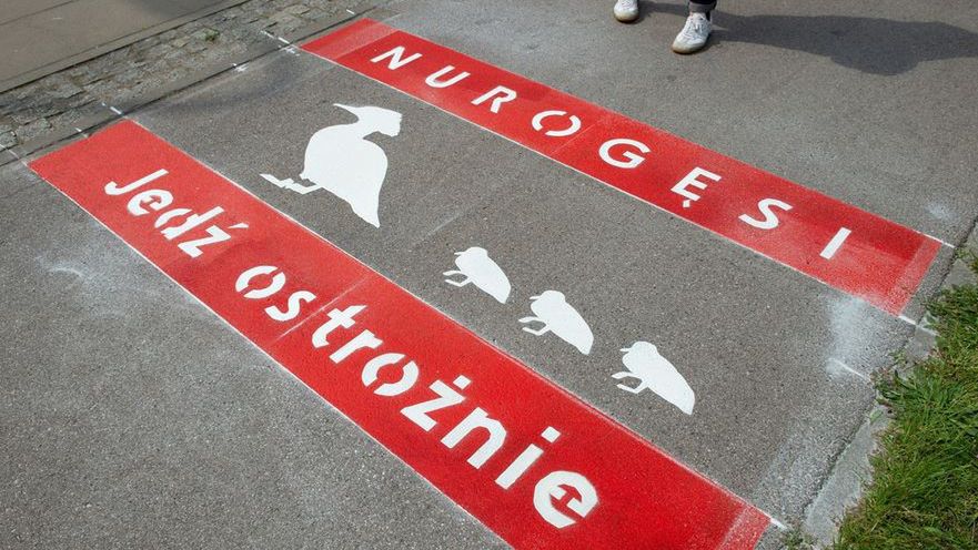 Warszawa. Na ulicy Czerniakowskiej powstało nowe nietypowe oznakowanie