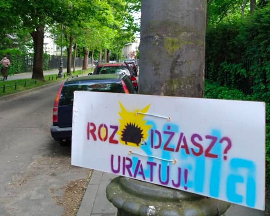 Warszawa. „RozJEŻdżasz? Uratuj”. Tabliczki na Saskiej Kępie w trosce o kolczaste ssaki