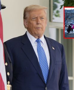 Trump bezwzględny. "Bezdomni muszą się wynieść natychmiast"