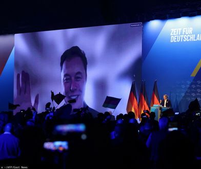 Wybory do Bundestagu. Dlaczego Elon Musk wspiera AfD?