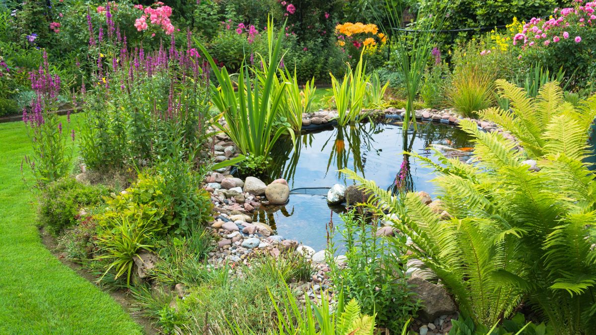 "Oczko plus" wraca. Minister zapowiada kolejny nabór w popularnym programie