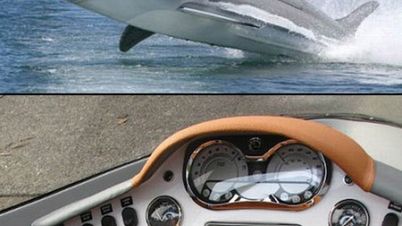 Seabreacher X, czyli mechaniczny rekin 1