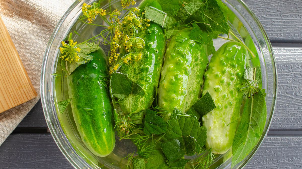 Małosolne z chilli – sekret chrupkości i wyrazistego smaku