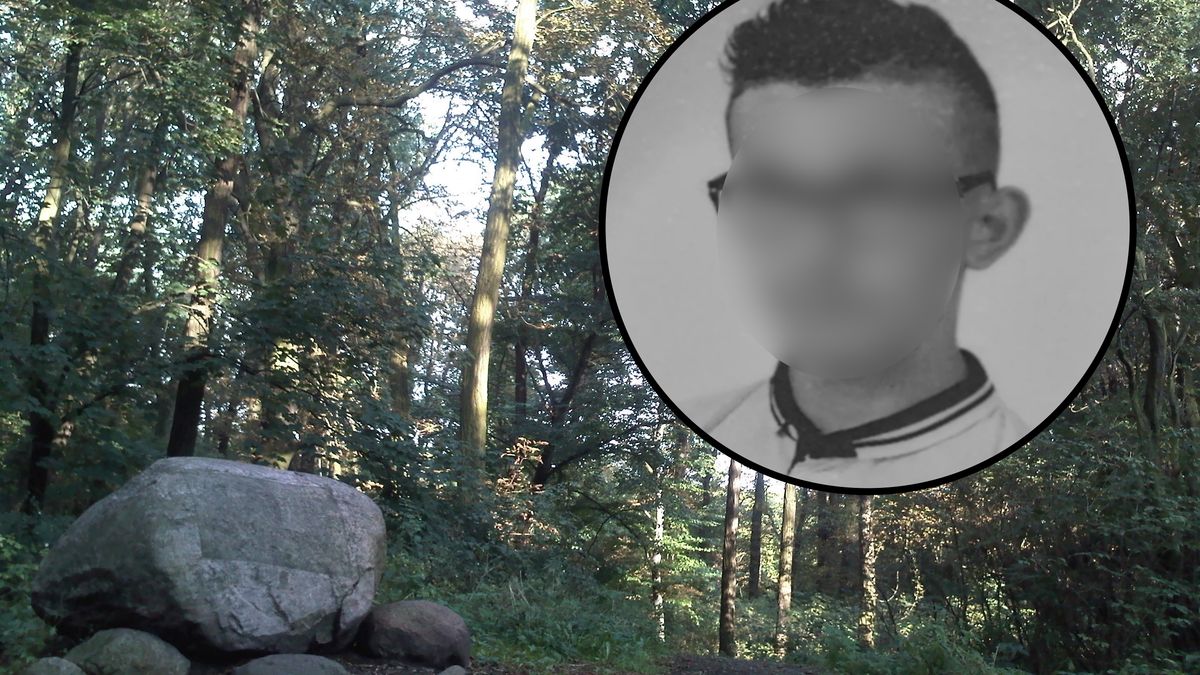 13-latek został przygnieciony przez ciężki konar podczas lekcji WF-u. Ruszył proces apelacyjny nauczyciela 