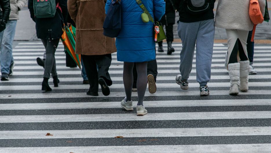 East News archiwum
Fot. Dawid Wolski/East News, Warszawa, 29.11.2024. Ludzie na pasach w centrum miasta.
Dawid Wolski