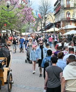 Turyści nie wrócą do Zakopanego w wakacje. Podali powód