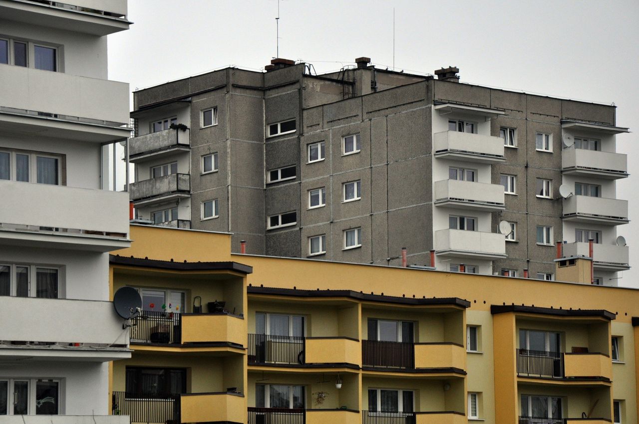 Kupić teraz czy czekać? IV kwartał może zaskoczyć kupujących