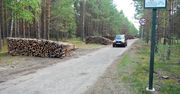 Kary za wjazd autem do lasu. Pojawią się nowe regulacje, które pomogą kierowcom