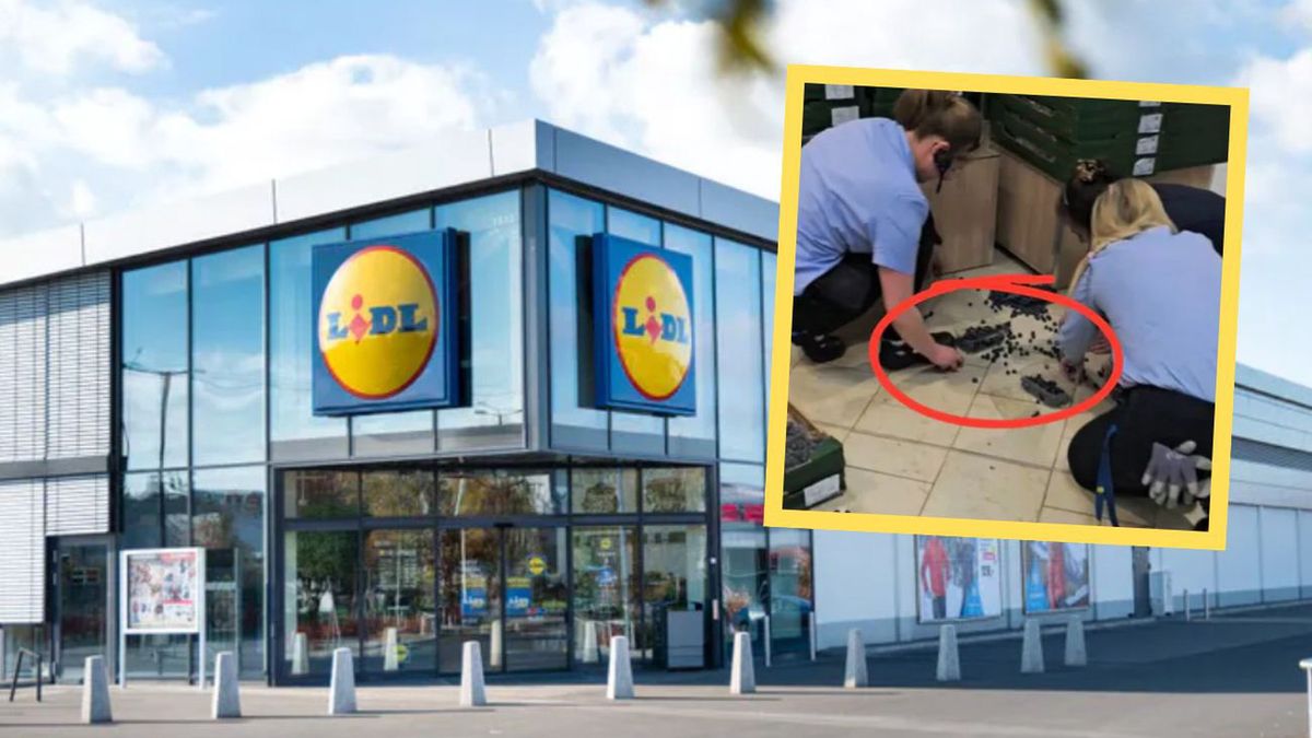 Kontrowersja w Lidlu: Borówki z podłogi znów na półkach? Sieć od