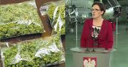 Ewa Kopacz: "Preparat oparty na marihuanie jest już na polskim rynku medycznym!"