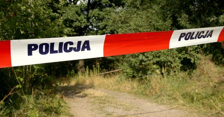 Makabryczne znalezisko. Blisko dwie tony martwych zwierząt