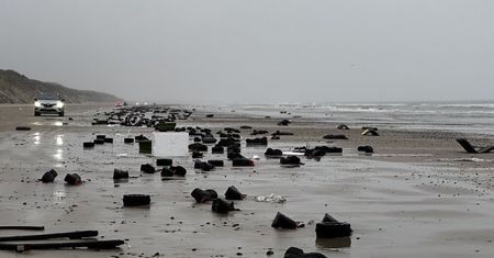 Nietypowy widok na duńskich plażach. Morze wyrzuciło to na brzeg