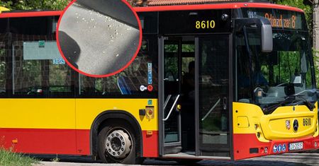 Zobaczył pasażerkę w autobusie. Skandaliczne, co robiła na siedzeniu