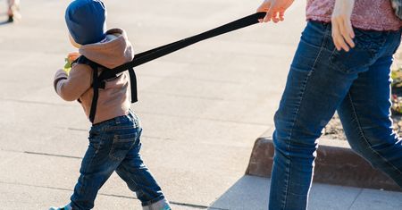 "Smycz i szelki są dla psa, a nie dla dziecka". Opinia psycholożki wywołała gorącą dyskusję