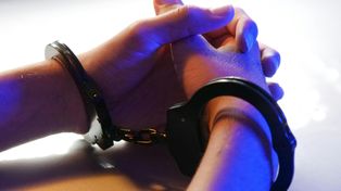 Próbował otruć labradory sąsiada. Rzucał za ogrodzenie zatrutą kiełbasę i petardy hukowe