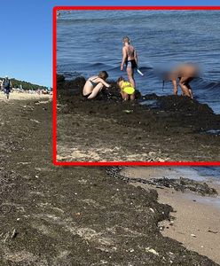 Turyści przecierali oczy. Taki widok na polskiej plaży
