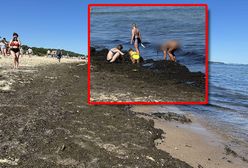 Turyści przecierali oczy. Taki widok na polskiej plaży