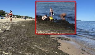 Turyści przecierali oczy. Taki widok na polskiej plaży