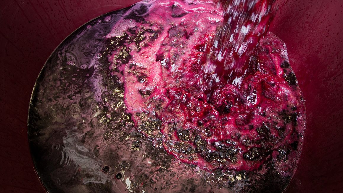 Chronią przed rakiem i spowalniają starzenie. Sięgaj po te owoce każdego dnia