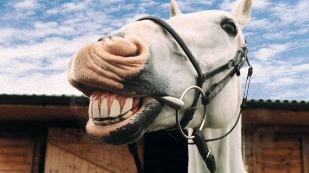 Prima aprilis 2012 w Internecie - najlepsze żarty. Kto wkręcał internautów? 1