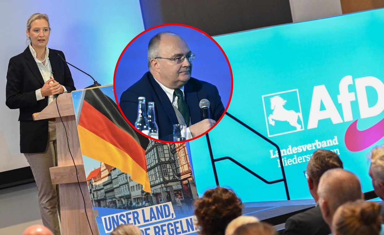 "Polityk musi włożyć rękę w to g***o". Ekspert o relacjach z AfD