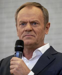 "Nagroda od PiS". Tusk o asystencie Mejzy. Emocje w pytaniu