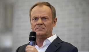 "Nagroda od PiS". Tusk o asystencie Mejzy. Emocje w pytaniu