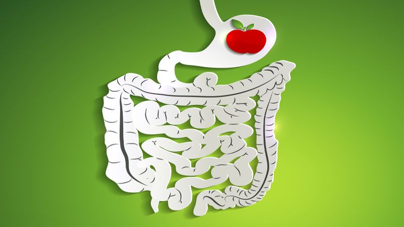 Jelito drażliwe to schorzenie układu pokarmowego