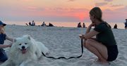 Polacy zabierają psy nad morze. Reakcje są skrajne