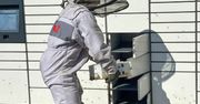 Tenczynek: Rój pszczół opanował paczkomat. Strażacy w akcji z gazą i płynem do dezynfekcji
