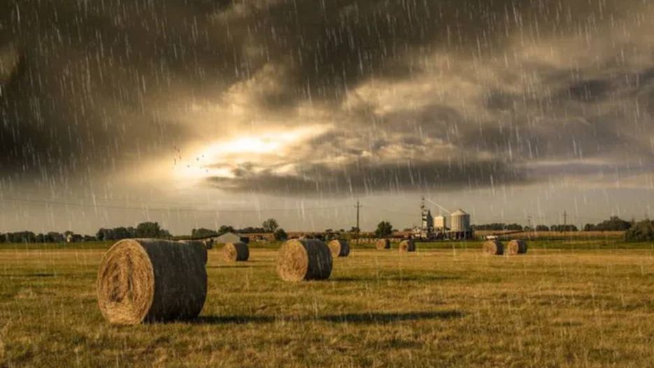 Rolnicy, szykujcie się na zmianę pogody – ochłodzenie i opady 
