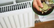 Rozłóż liście laurowe na kaloryferze w sypialni. Już po chwili poczujesz różnicę
