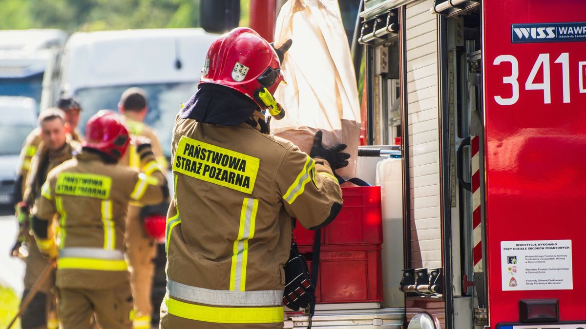 East News archiwum 2025
Fot. NewsLubuski/East News, Nowogrod Bobrzanski, 11.09.2025. Wypadek drogowy na drodze krajowej nr 27 kolo Zielonej Gory. Na odcinku Zielona G�ra - Nowogrod Bobrzanski zderzyly sie trzy pojazdy. Kierowca samochodu dostawczego Peugeot uderzyl w tyl przyczepy ciezarowki. W busa wjechal jeszcze osobowy Volkswagen. Cztery osoby zostaly poszkodowane. Na miejscu pracowaly sluzby ratownicze.
NewsLubuski