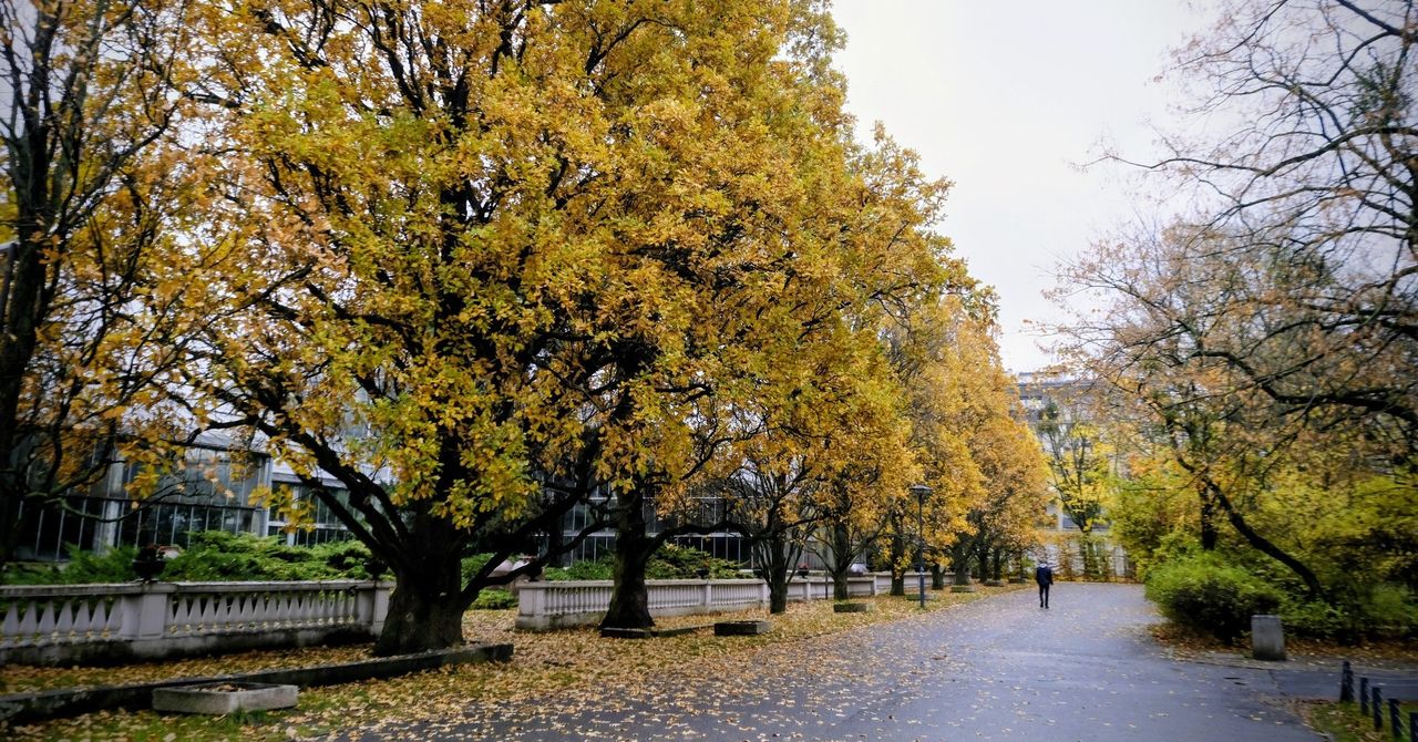 Łódź: Pogoda na 11 listopada 2025. Pogoda na długi weekend listopadowy. Złota polska jesień w długi weekend? Kiedy spadnie śnieg i przyjdzie zima?