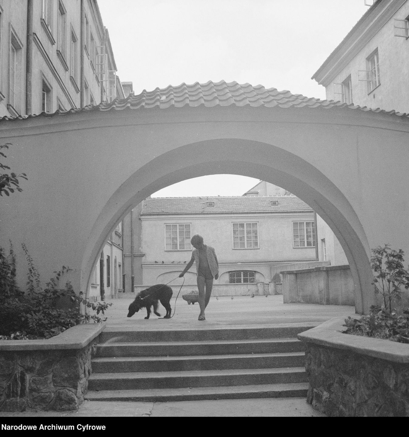 Stare Miasto na archiwalnych fotografiach