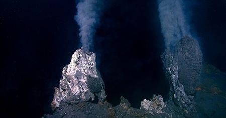 Milion jaj na dnie oceanu. Odkrywcy oszołomieni wulkanem