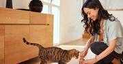 Ta prosta rutyna może całkowicie odmienić zachowanie Twojego kota
