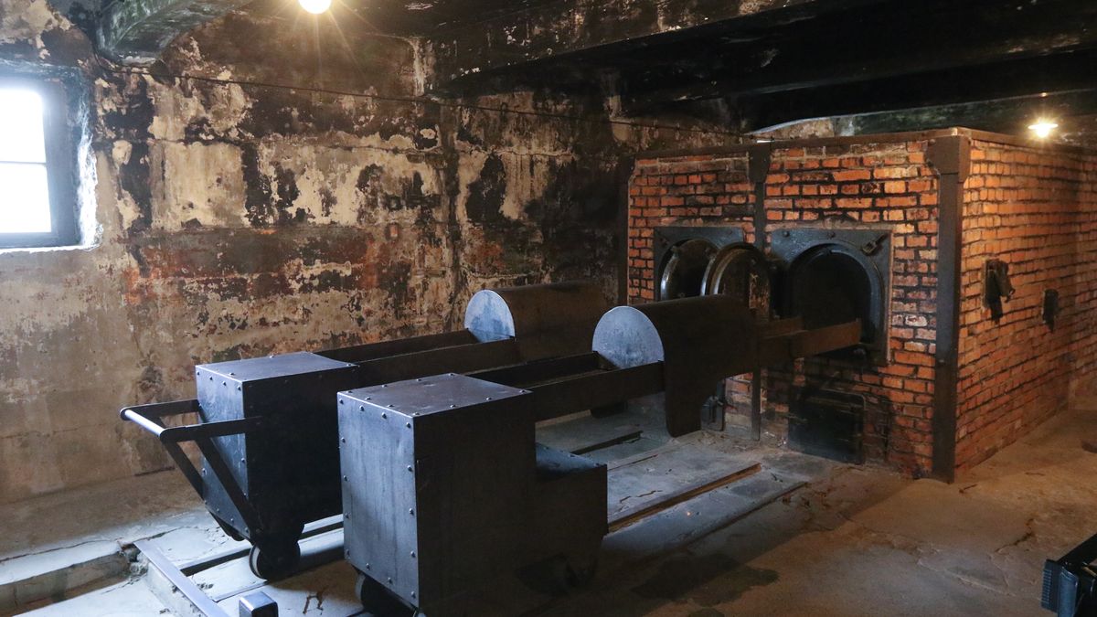  Negacjoniści Holocaustu rozsiewają fałszywe informacje 