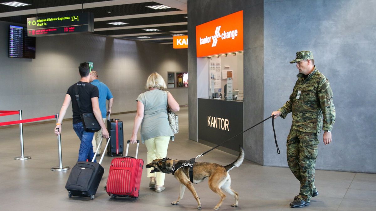 ?wiczenia Stra?y Granicznej w Katowice Airport
Fot. Tomasz Kawka / East News Katowice Pyrzowice Airport 08.06.2017 Specjalny pokaz z wykrywania materialow niebezpiecznych z udzialem psow, jak i urzadzen technicznych Slaskiego Oddzialu Strazy Granicznej. N/z:
Tomasz Kawka
