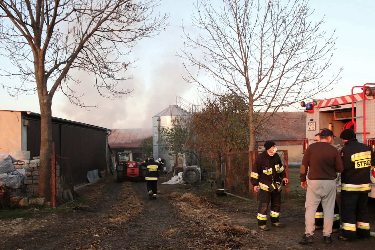 Ogromny pożar gospodarstwa domowego w Biedrzychowicach.