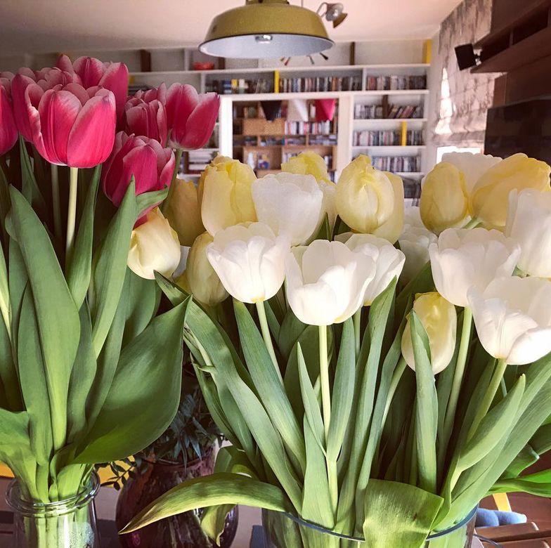 Tak mieszkają Aleksandra Kwaśniewska i Kuba Badach