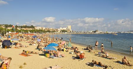 Wakacje 2020. Mięsożerne ryby podgryzają turystów u wybrzeży Francji
