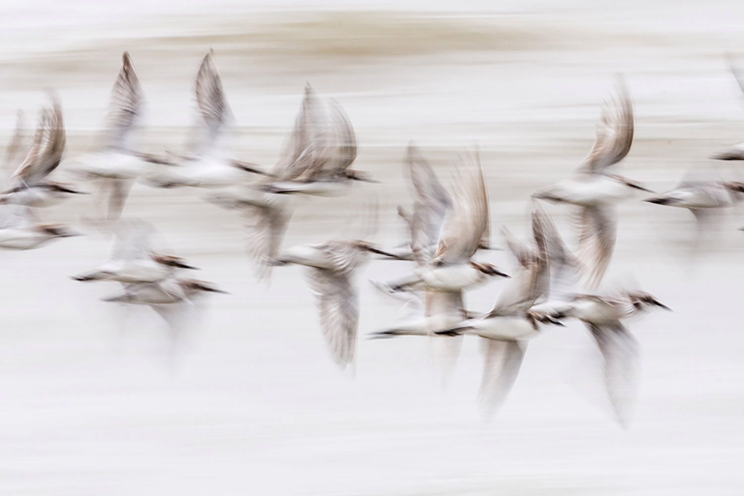 Pięcioro Polaków trafiło do finału Sony World Photography Awards 2017. Są też liczne wyróżnienia 5