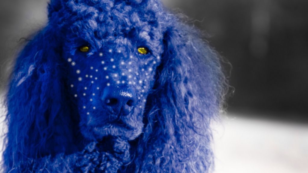 Dłuższy o 8 minut Avatar także w kinach 1