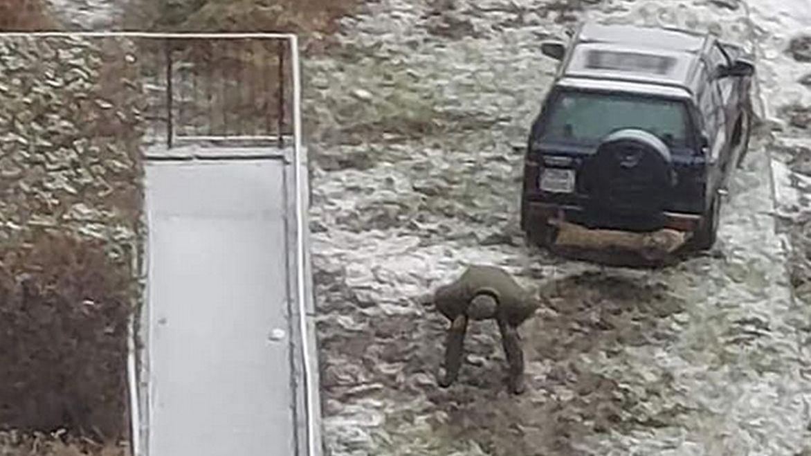 Myśliwy odstrzelił 6 dzików pod balkonami i na oczach dzieci.